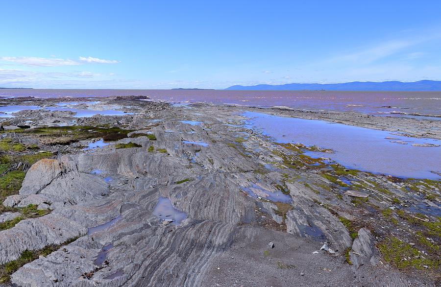 Low tide on Saint Lawrence river Photograph by Cristina Stefan