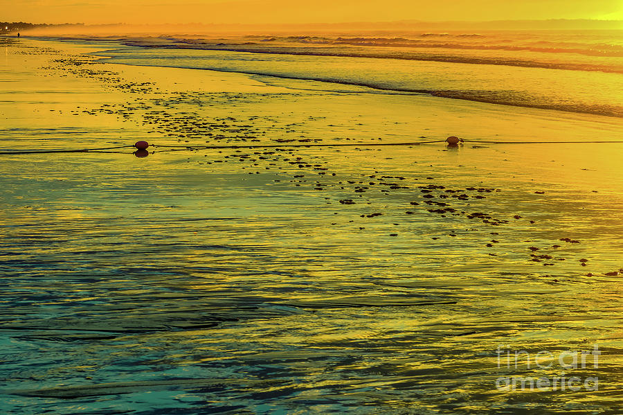 Nature Photograph - Low tide sunrise by Claudia M Photography