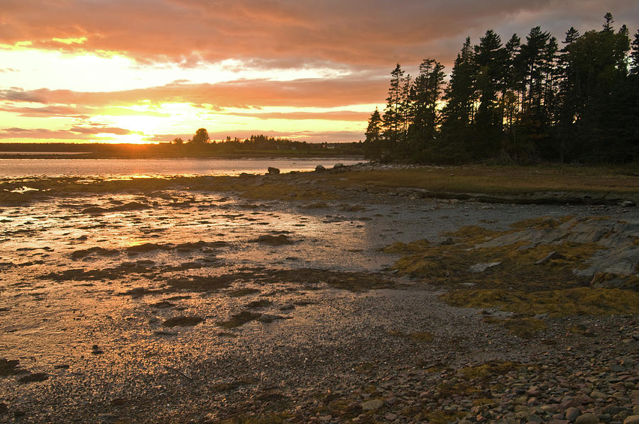 Low Tide Sunset Photograph by Paul Mangold