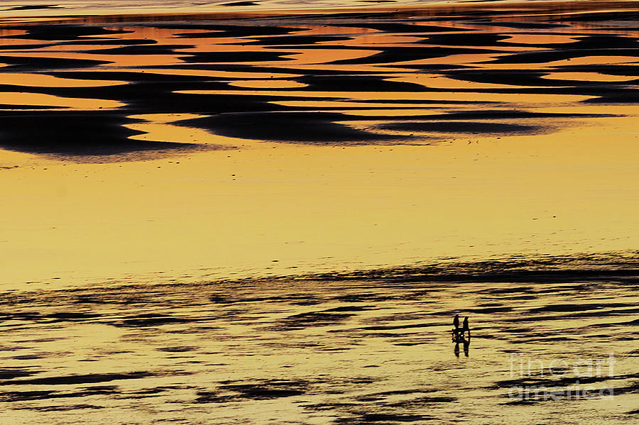 Sunset Photograph - Low Tide Sunset Reflection by Paul Conrad