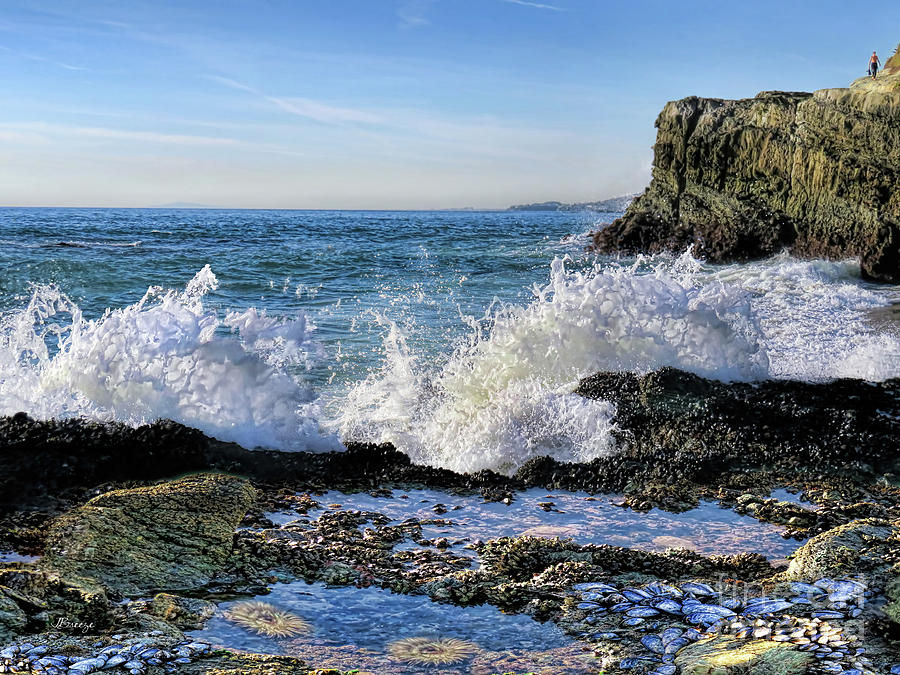 Nature Photograph - Low Tide Table Rock.Laguna Beach by Jennie Breeze