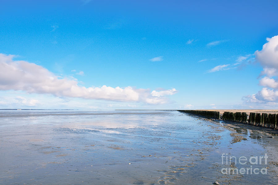 Low Tide Wadden Sea Photograph