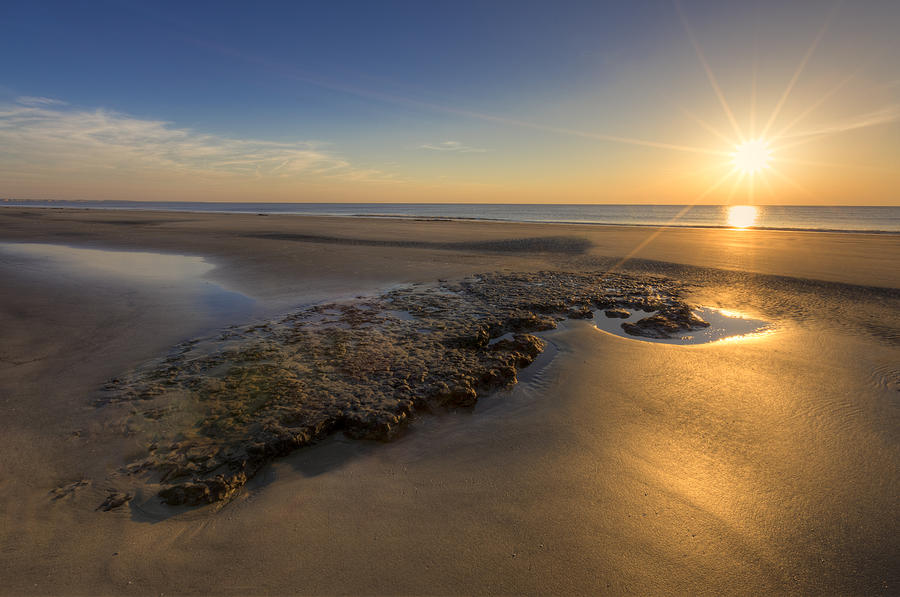 Spring Photograph - Low Tides by Debra and Dave Vanderlaan