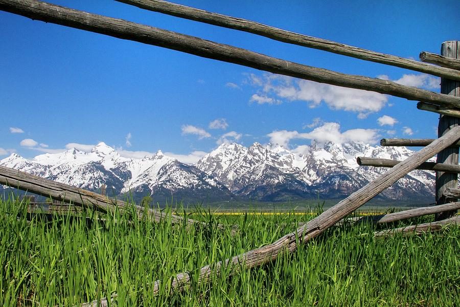 Low Vista of The Tetons Photograph by Harriet Feagin