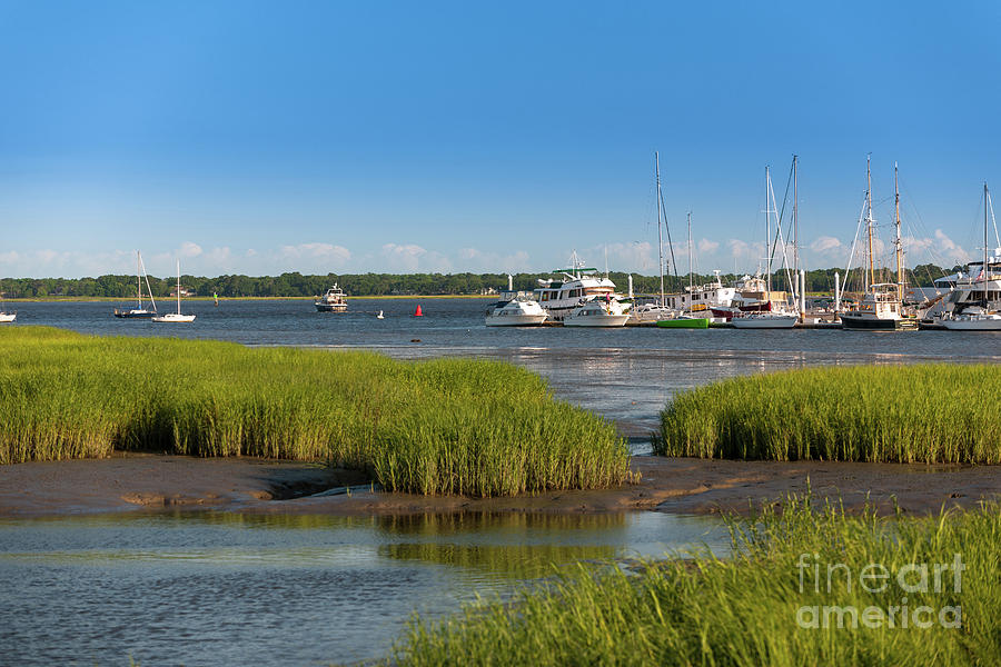 Lowcountry Blue Skies Photograph