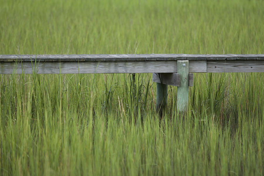 Lowcountry Dock Over Marsh Grass Photograph by Dustin K Ryan