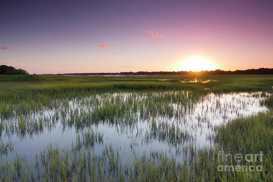 Sunset Photograph - Lowcountry Flood Tide Sunset by Dustin K Ryan