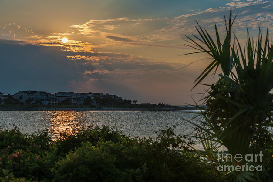 Sunset Photograph - Lowcountry Gold by Dale Powell