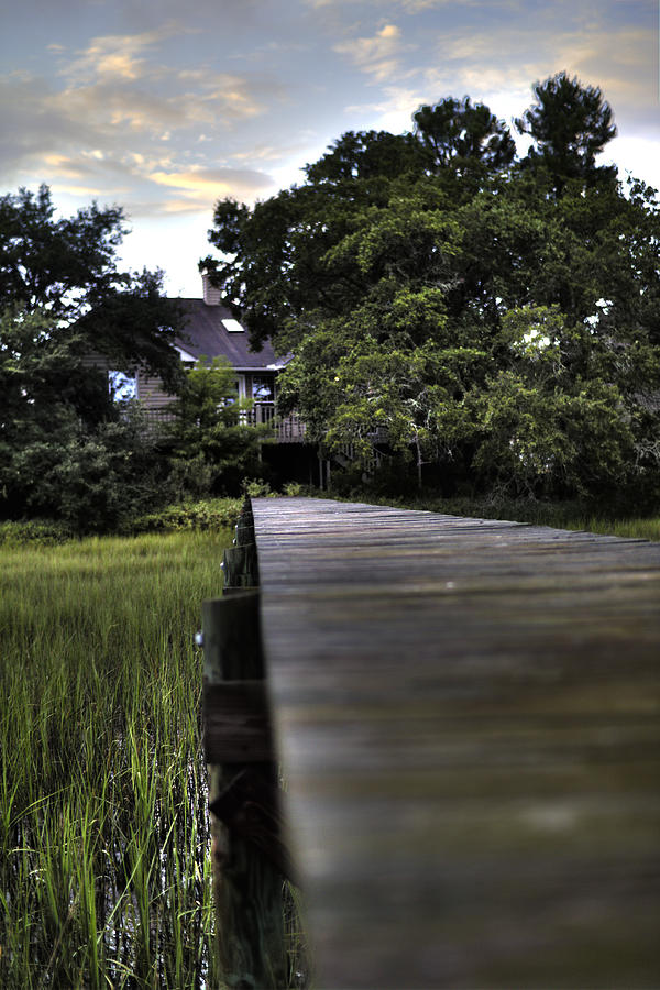 Landscape Photograph - Lowcountry Living by Dustin K Ryan