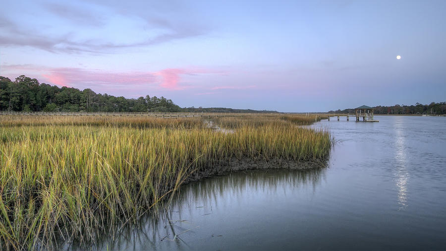 Wadmalaw Island Photograph - Lowcountry Marsh Grass on the Bohicket by Dustin K Ryan