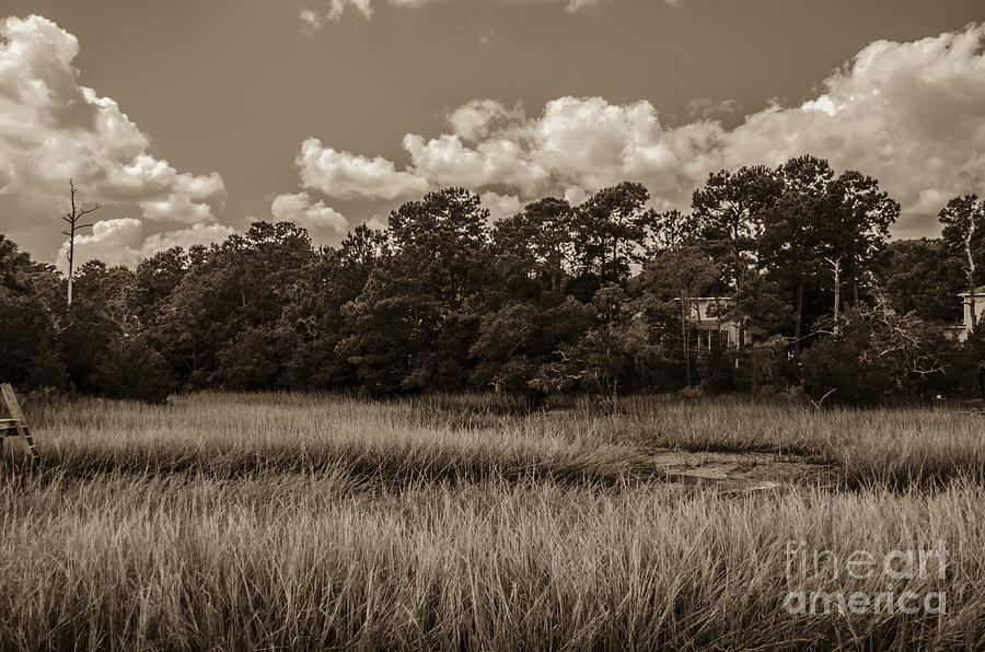 Lowcountry Salt Marsh Photograph by Dale Powell