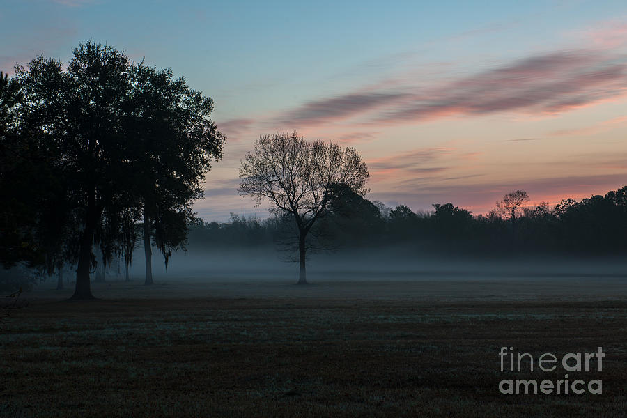 Lowcountry Sunrise Fog  Photograph by Dale Powell