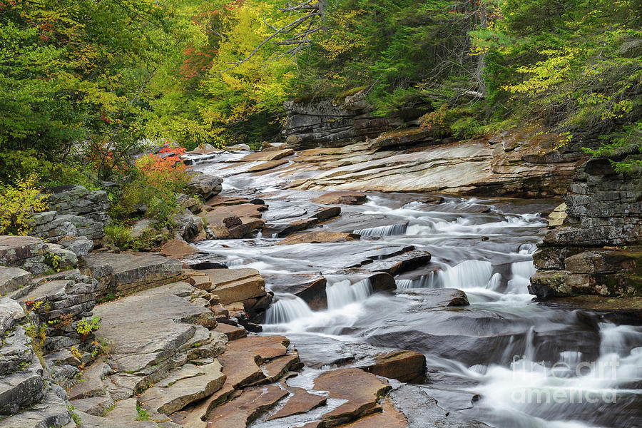Nature Photograph - Lower Ammonoosuc Falls - Carroll, New Hampshire #2 by Erin Paul Donovan