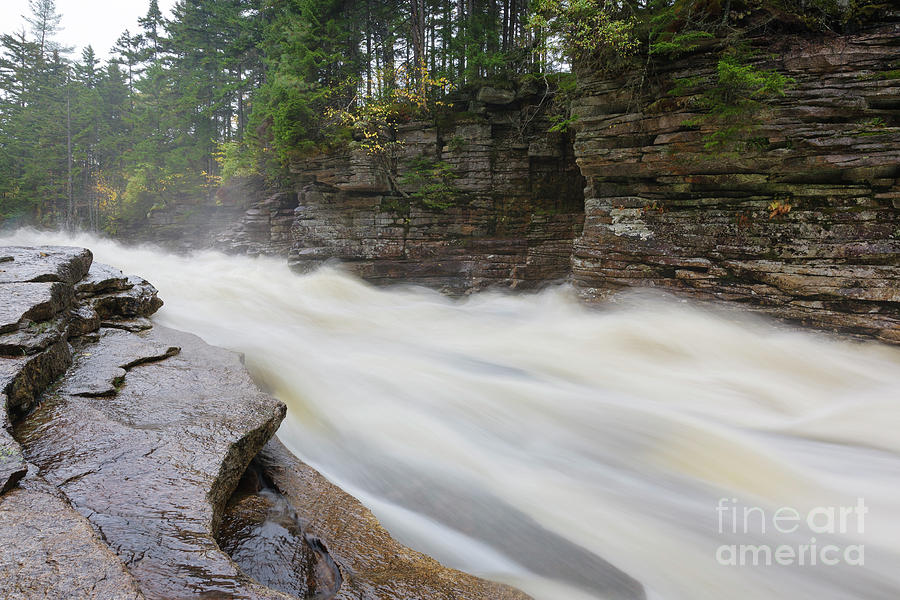 Nature Photograph - Lower Ammonoosuc Falls - White Mountains, New Hampshire by Erin Paul Donovan