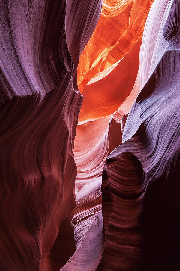 Lower Antelope 1 Photograph by Jay Beckman