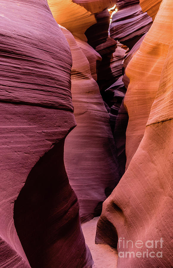 Lower Antelope Canyon Photograph by Craig Shaknis