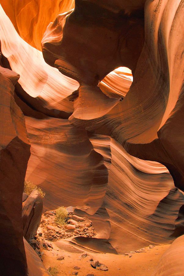Lower Antelope Canyon Photograph by Frank Houck