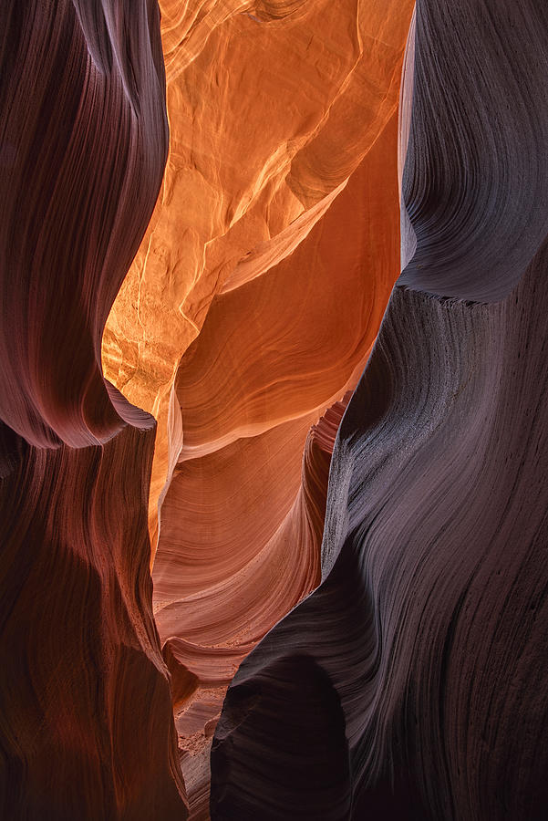 Antelope Canyon Photograph - Lower Antelope Canyon Vertical by Dave Dilli