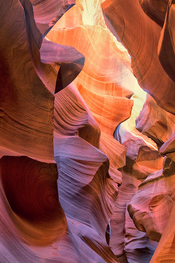 Lower Antelope Canyon View Photograph by Nancy Dunivin