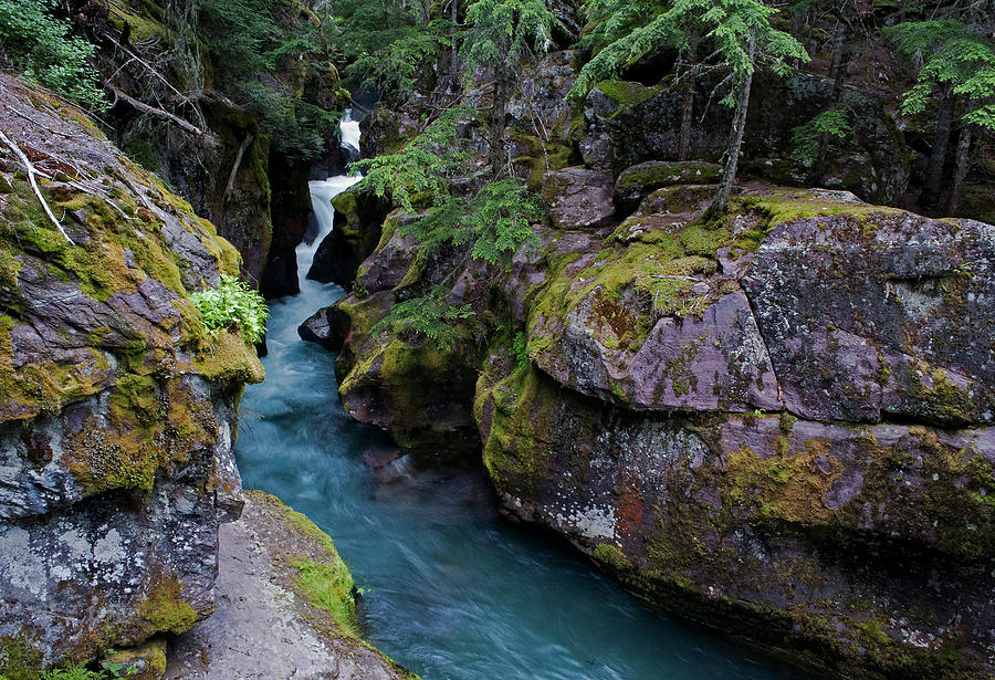 Lower Avalanche Creek Photograph by Doug Davidson