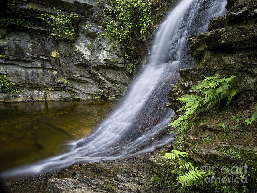 Waterfall Photograph - Lower Cascades Waterfall 1 C by Patrick Lynch