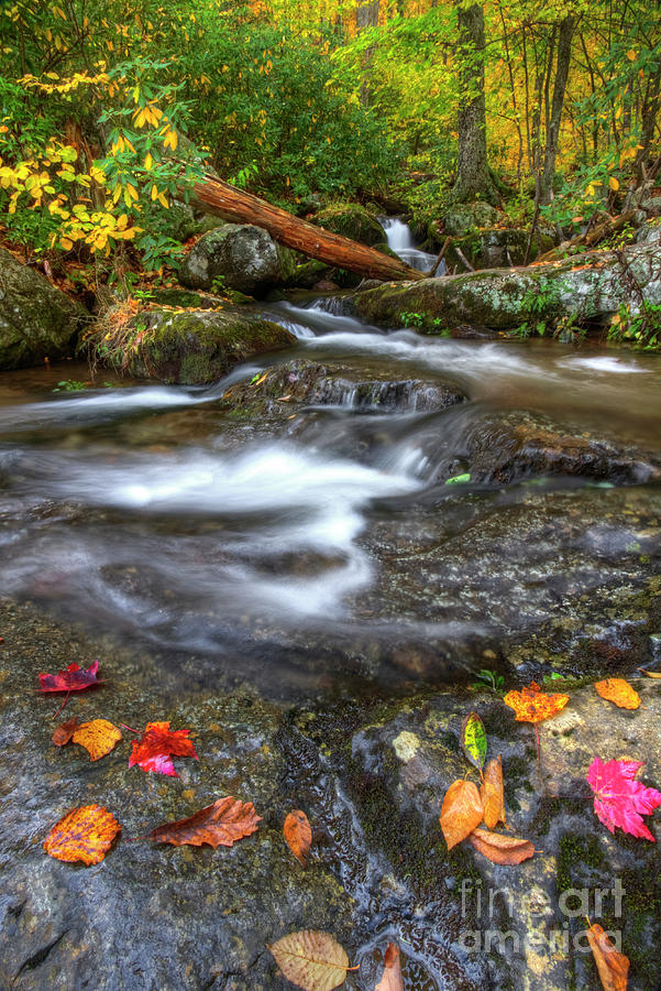 Lower Crabtree Falls Virginia I Photograph by Karen Jorstad