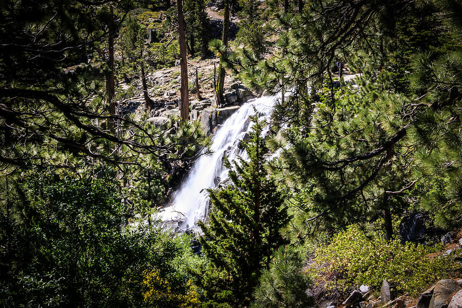 Lower Eagle Falls Photograph by Randy Wehner