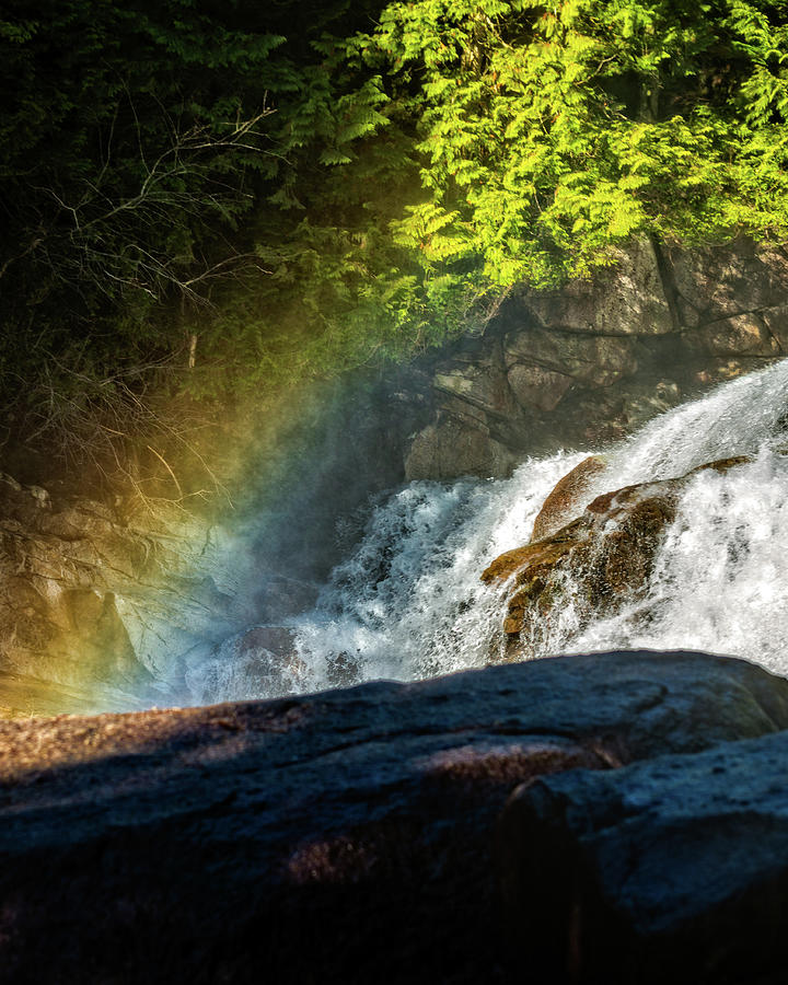 Nature Photograph - Lower Falls by Anka Wong