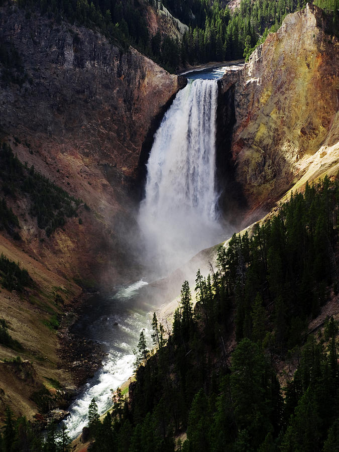 Lower Falls at Yellowstone Photograph by Mary Capriole