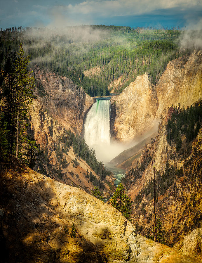 Lower Falls at Yellowstone Photograph by Rikk Flohr