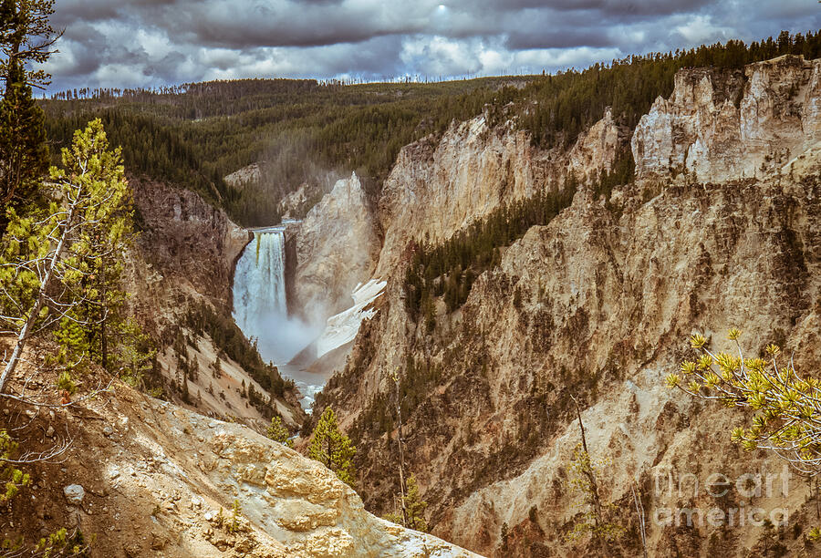 Yellowstone National Park Photograph - Lower Falls Framed by Robert Bales