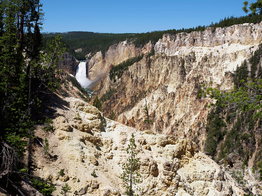 Lower Falls from Artist Point in Yellowstone National Park Photograph by Louise Heusinkveld