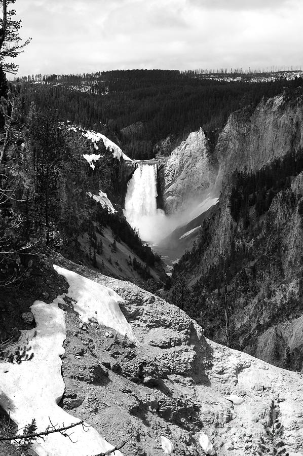 Yellowstone National Park Photograph - Lower Falls from Artist Point Yellowstone National Park Wyoming Black and White by Shawn OBrien