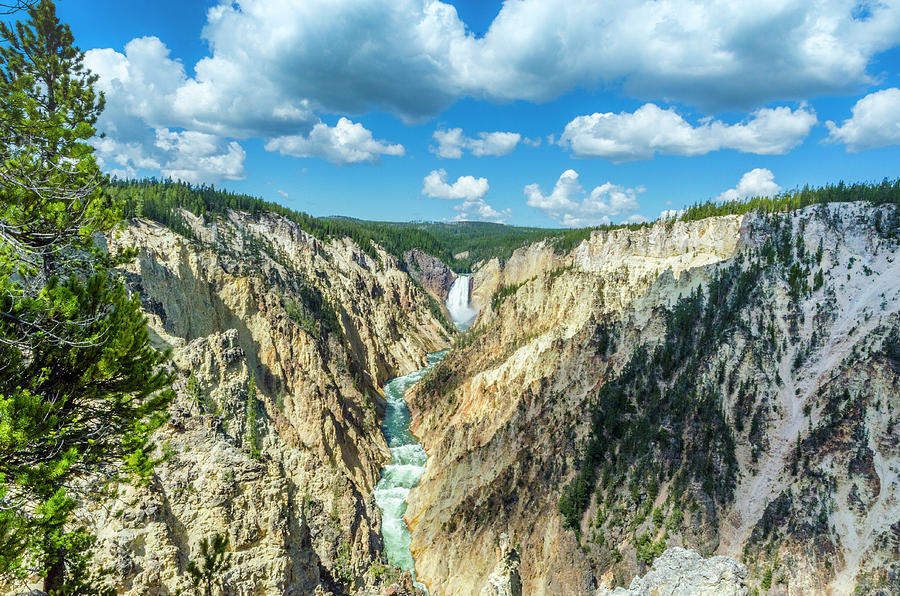 Lower falls in Yellowstone Photograph by William Batton