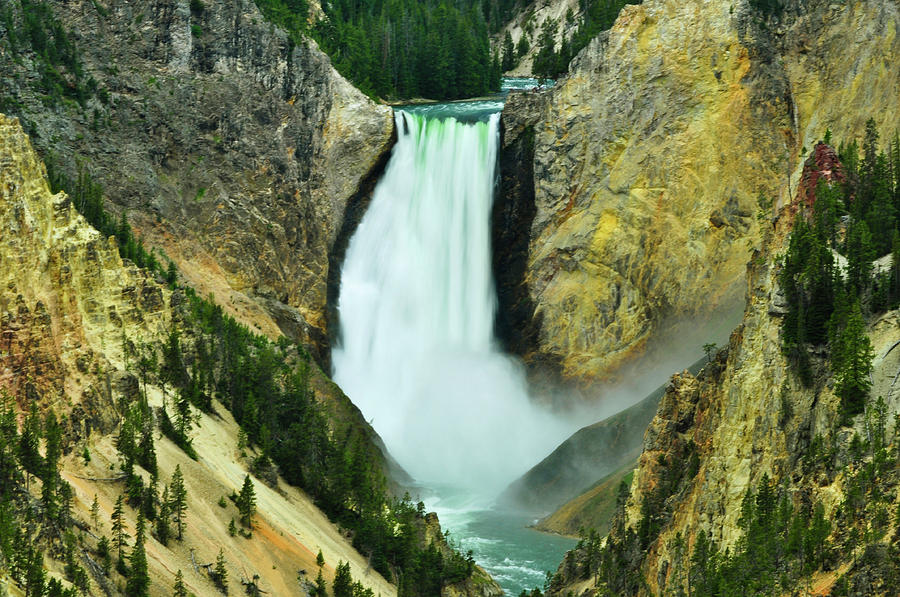 Yellowstone National Park Photograph - Lower Falls no border or caption by Greg Norrell