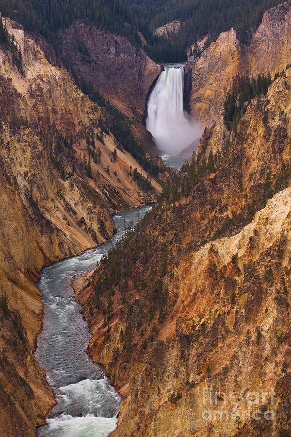 Lower Falls of the Grand Canyon of the Yellowstone Photograph by Katie LaSalle-Lowery