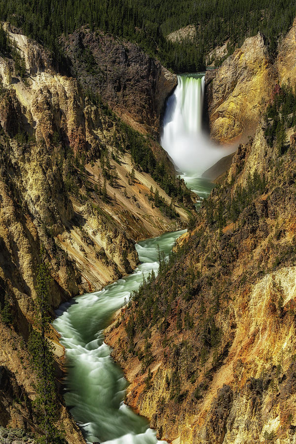 Lower Falls of the Grand Canyon of Yellowstone  Photograph by C  Renee Martin