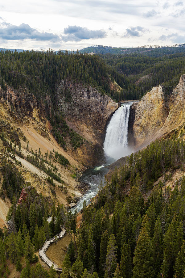 Lower Falls of the Grand Canyon of Yellowstone National Park ...