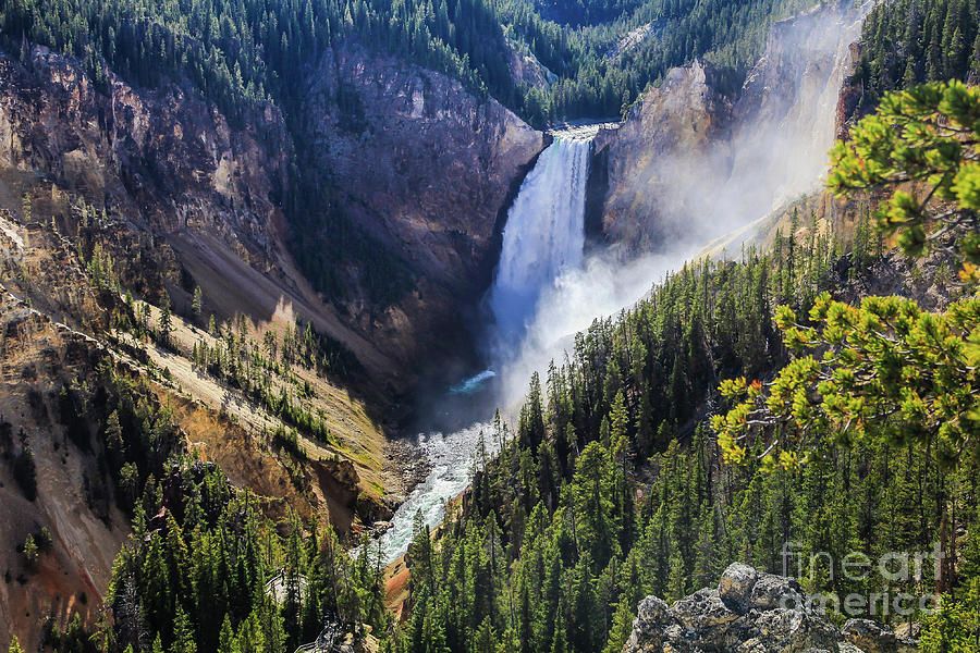 Lower Falls Of The Yellowstone River Photograph By Webb Canepa - Fine 