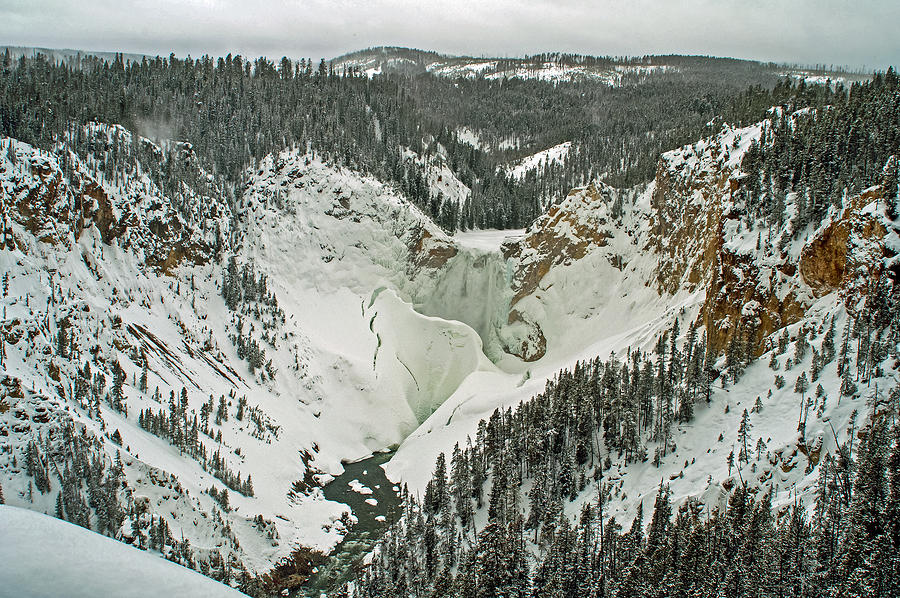 Lower Falls Of The Yellowstone Winter Yellowstone National Park Photograph By Naturespix