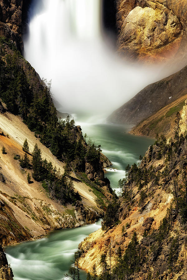 Lower Falls of Yellowstone Photograph by C  Renee Martin