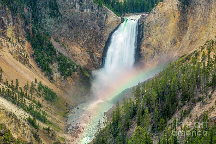 Lower Falls of Yellowstone Canyon Photograph by Karen Jorstad