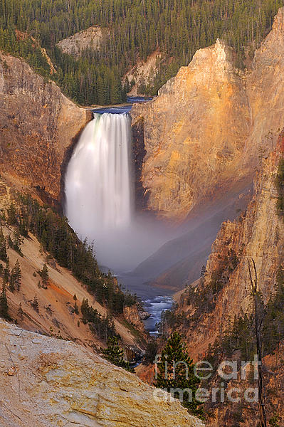 Lower Falls of Yellowstone Photograph by Dennis Hammer