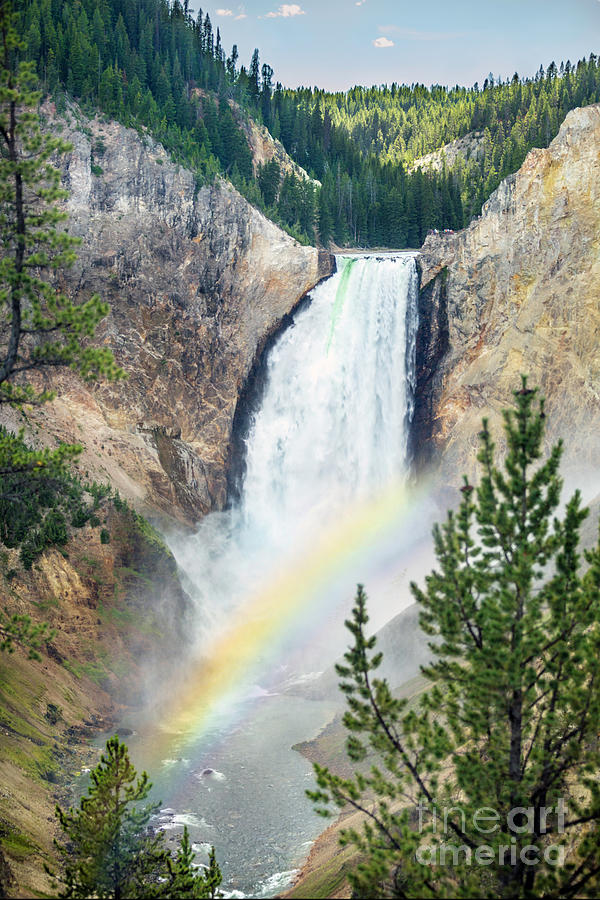 Lower Falls of Yellowstone I Photograph by Karen Jorstad