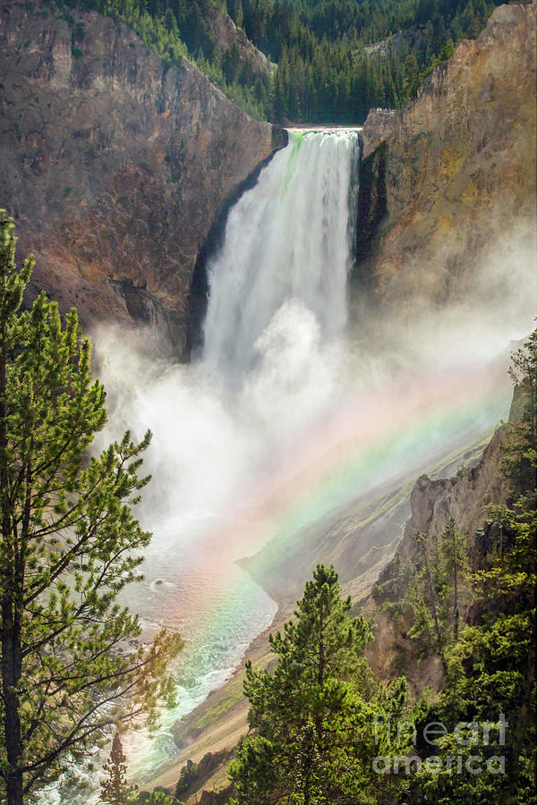 Lower Falls of Yellowstone II Photograph by Karen Jorstad