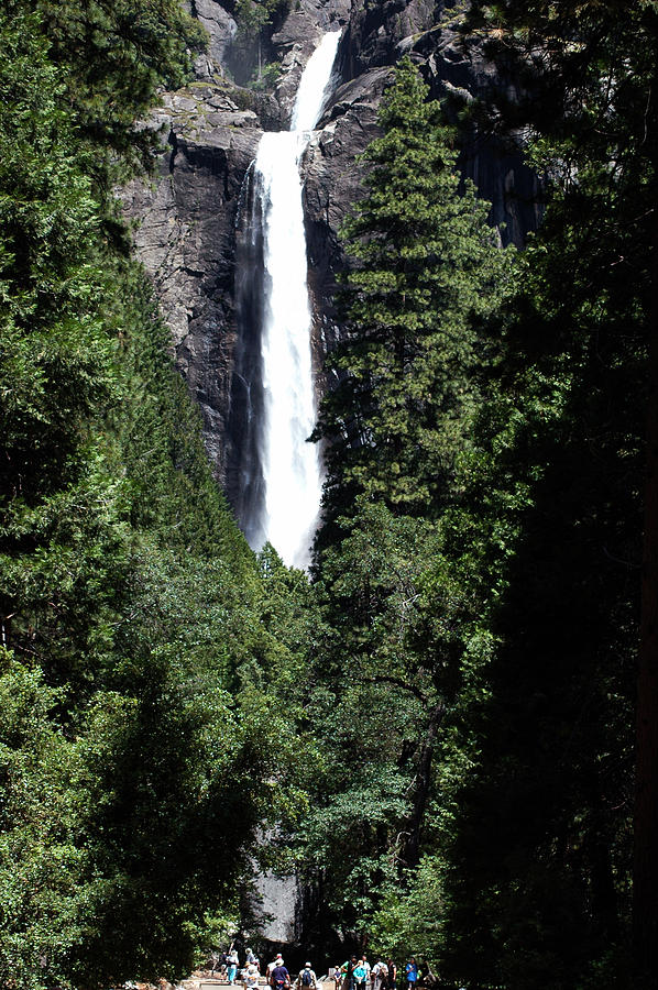 Lower Falls Of Yosemite Photograph