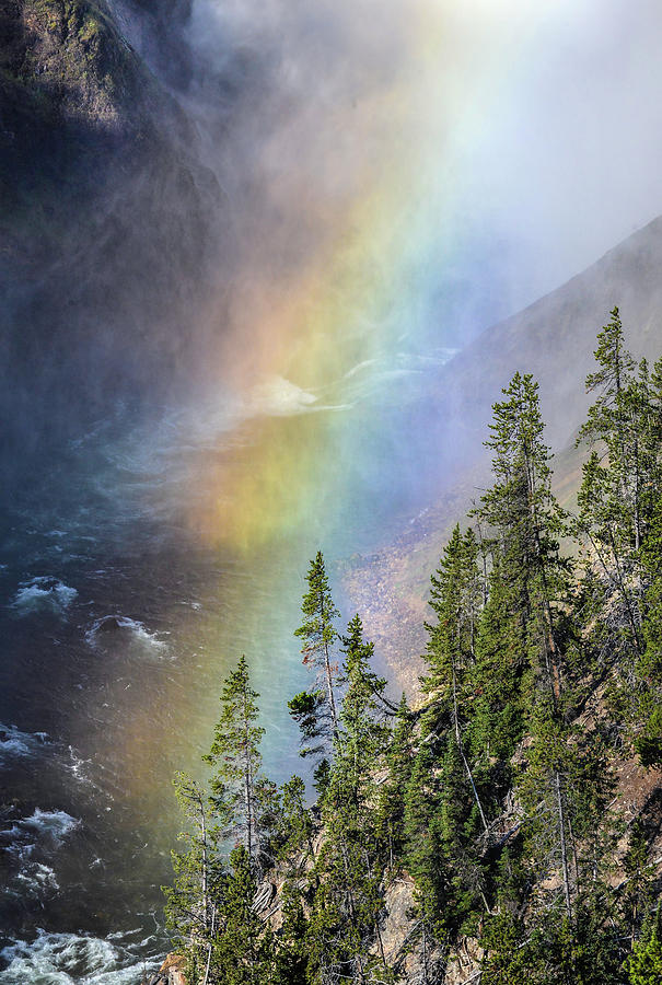 Lower Falls Rainbow Photograph by Rae Ann  M Garrett