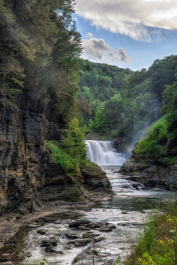 Nature Photograph - Lower Falls - Summer by Mark Papke