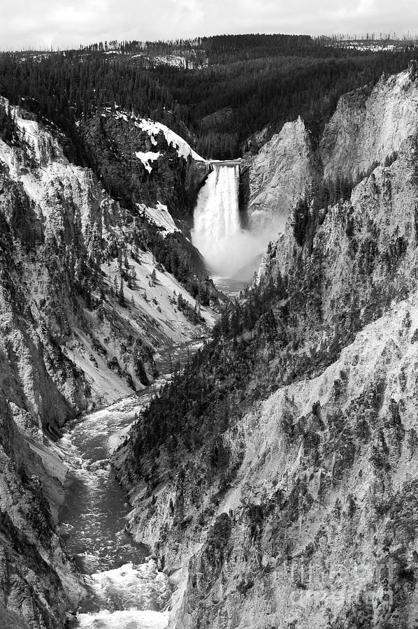Lower Falls Viewed from Artist Point Yellowstone National Park Wyoming Black and White Photograph by Shawn OBrien