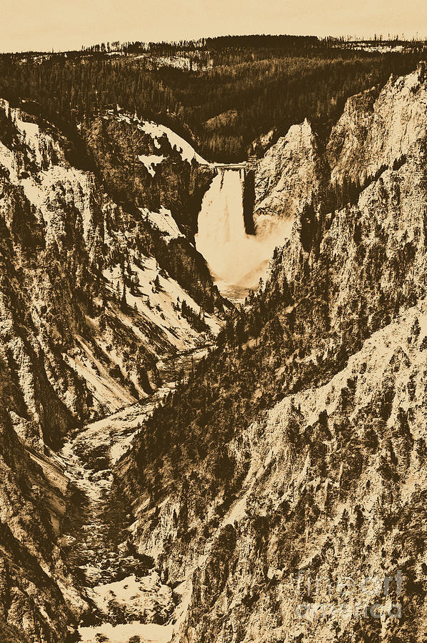 Lower Falls Viewed from Artist Point Yellowstone National Park Wyoming Rustic Digital Art Photograph by Shawn OBrien